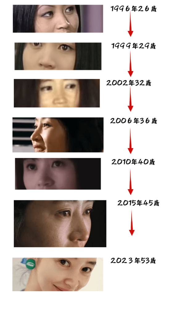 韓国女優キム・ヘス鼻の変化の画像を時系列であらわしたもの
1996年26歳画像
1999年29歳画像
2002年32歳画像
2006年36歳画像
2010年40歳画像
2015年45歳画像
2023年53歳画像
